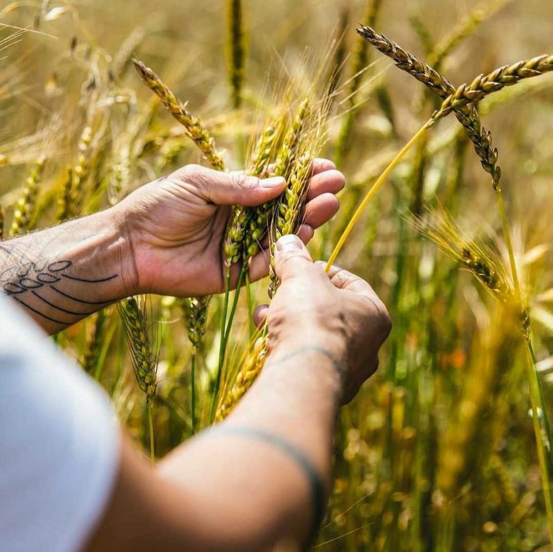 Screenshot_20220208-104017_2